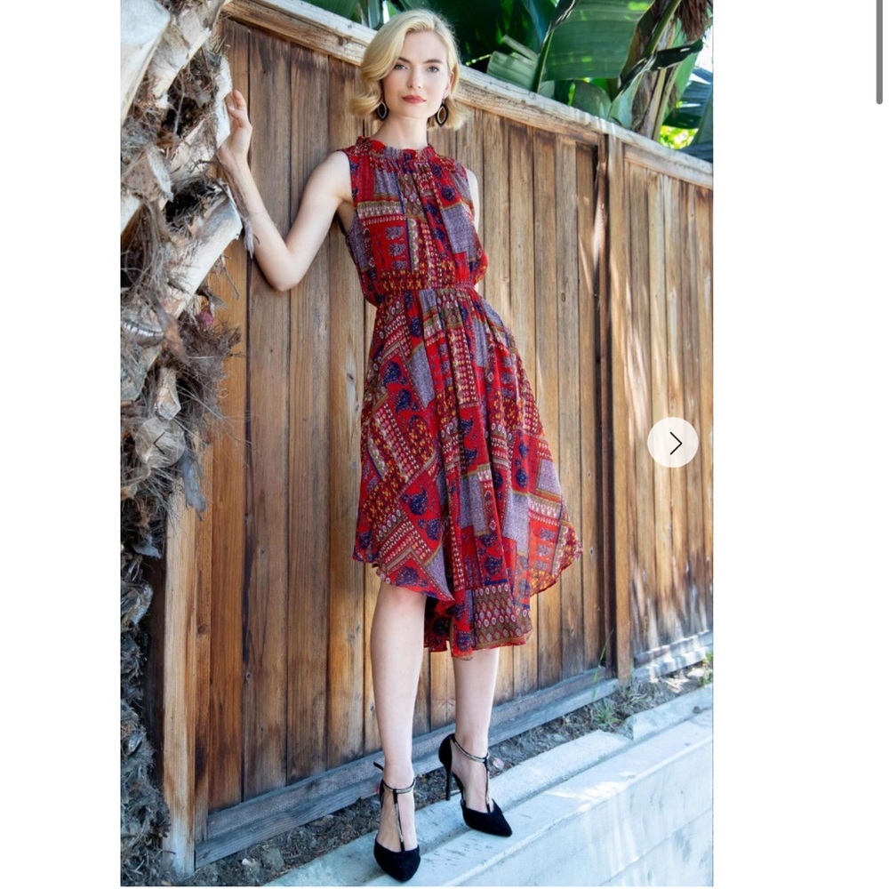 Beautiful ruffled scoop neck elastic waist sheer dress. Size 4